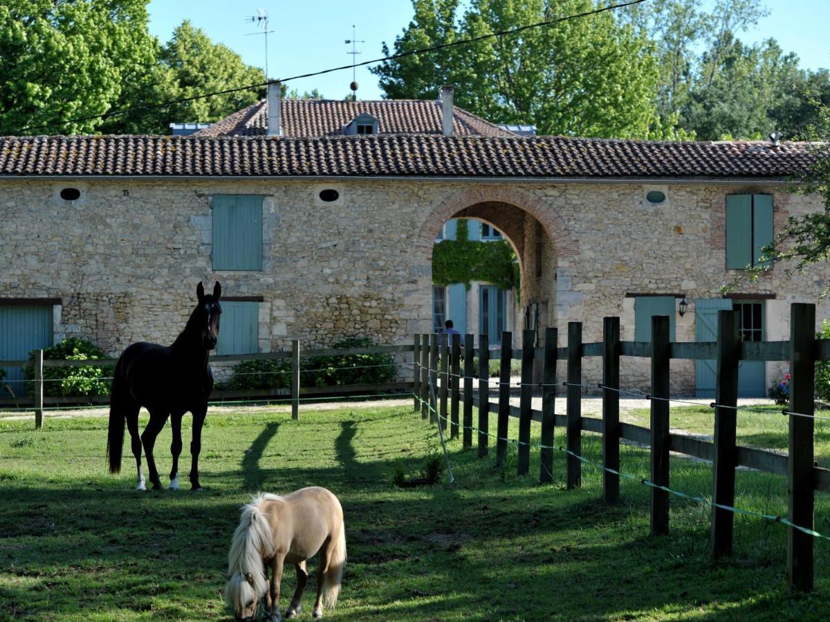 Chateau De L'Isle - Chambres D'Hotes Castelnau-de-Médoc Εξωτερικό φωτογραφία